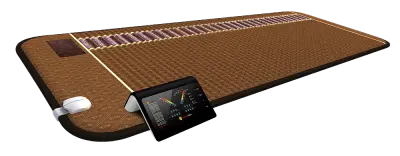 Professional Biomat 2026 400